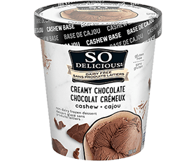 Cashew_CreamyChocolate_Pint_sm