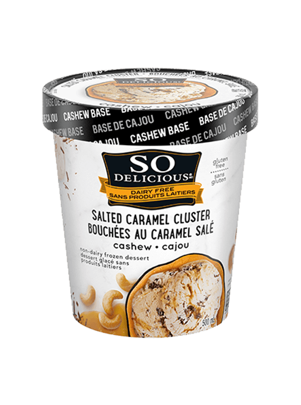 Salted Caramel Cluster Cashewmilk Frozen Dessert