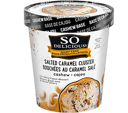 Salted Caramel Cluster Cashewmilk Frozen Dessert